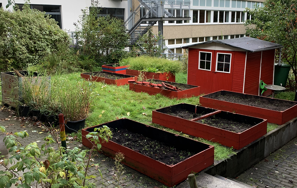 Start der Garten-AG an der Theodor-Heuss-Schule